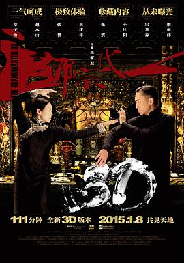 《善良岳母：我爱我的女婿》海报